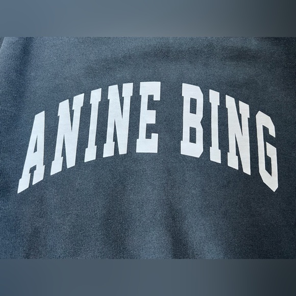 ANINE BING Revolve Distressed Designer Tyler Sweatshirt in Gray White Size XL - Picture 10 of 15